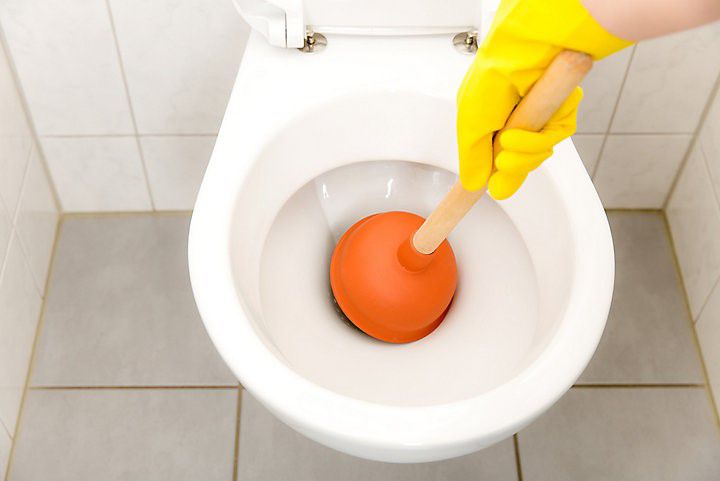 diy blocked toilet